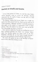 The Practical Parsha - Vol. 2