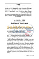 A Most Meaningful Seder