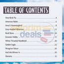 And The Winner Is...who Is Fastest Bird In Sky