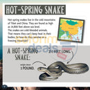 And The Winner Is...who Lives Highest In Mountains