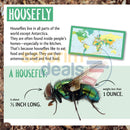 And The Winner Is...who Is Longest Living Insect On Earth