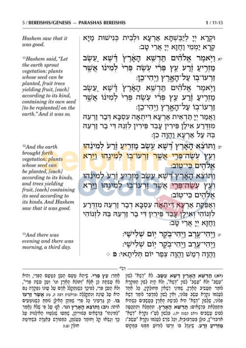 Artscroll English Sh’nayim Mikra V’Echad Targum - Bereshis