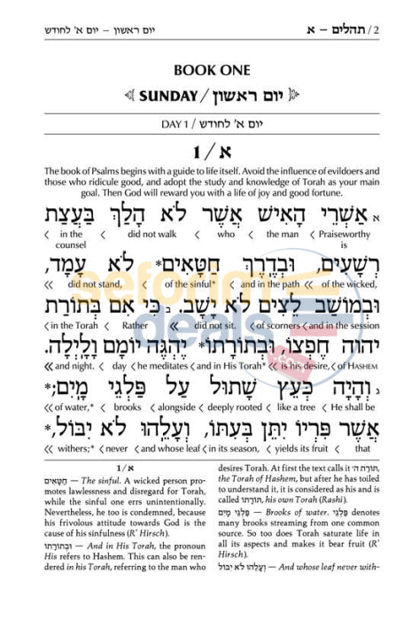 Artscroll Schottenstein Edition Interlinear Tehillim-Psalms Full Size