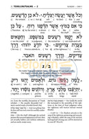 Artscroll Schottenstein Edition Interlinear Tehillim-Psalms Full Size