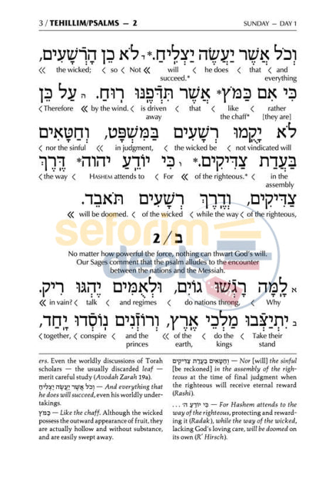 Artscroll Schottenstein Edition Interlinear Tehillim-Psalms Full Size