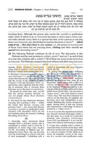 Artscroll Schottenstein Edition Mishnah Elucidated - Full 23 Volume Set