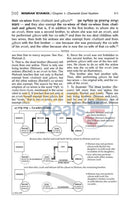 Artscroll Schottenstein Mishnah Elucidated Seder Kodashim - 3 Vol. Set Full Size