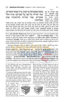 Artscroll Schottenstein Mishnah Elucidated Seder Zeraim - Vol. 4