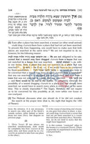 Artscroll Schottenstein Mishnah Elucidated Seder Zeraim - Vol. 4