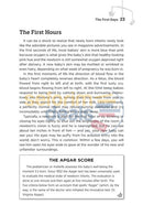 Babys First Year - The Jewish Mothers Guide