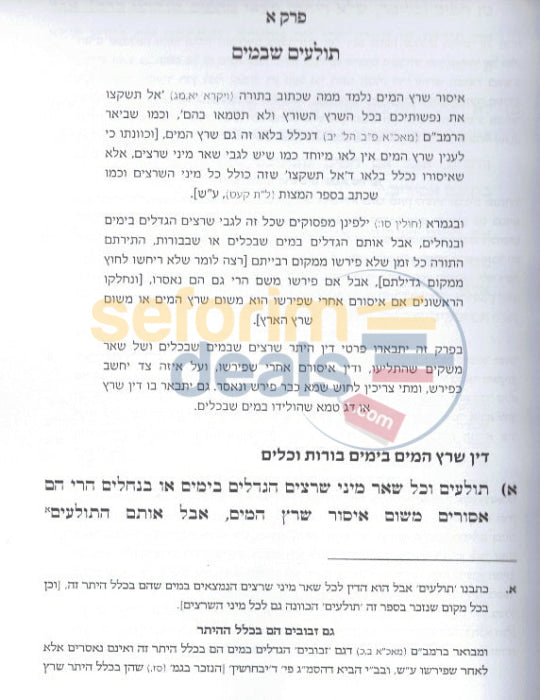 בדיקת תולעים כהלכתה