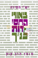 Biurei Hachassidus Lnach - Kesuvim