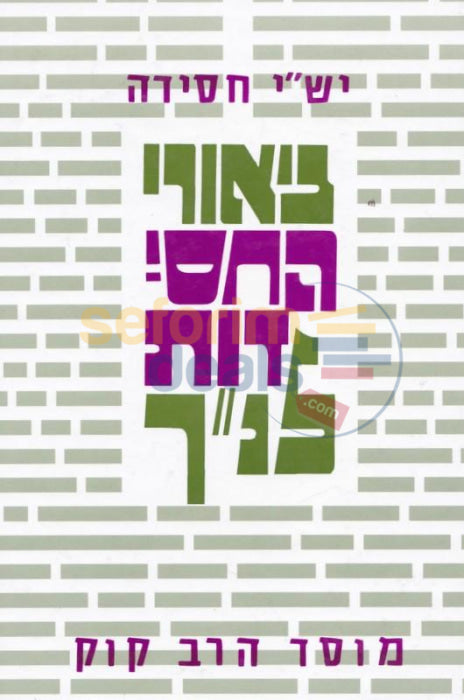 Biurei Hachassidus Lnach - Kesuvim