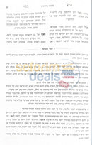 בית הלוי על התורה