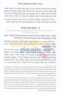 ביאורים על ציורי הרמב’ם