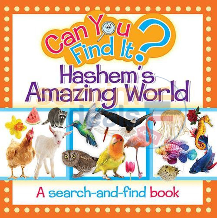 Can You Find It Hashems Amazing World