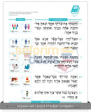 Childrens Chumash - Parshas Noach