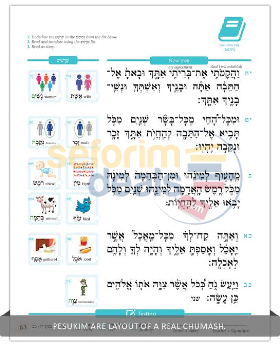 Childrens Chumash - Parshas Noach