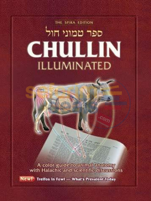 Chullin Illuminated - Revised Edition