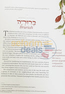 Eishet Chayil - Woman of Valor