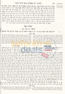 English Mishnah Berurah Ohr Olam - Hilchos Sukkah