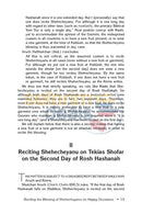 Exploring Modern Halachic Dilemmas - Vol. 2