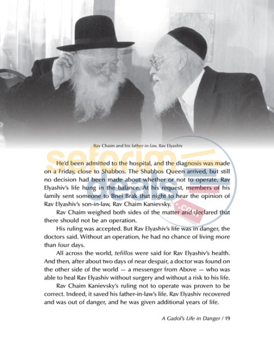 Gedolim In Our Time - Stories About R Chaim Kanievsky & Gershon Edelstein