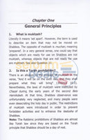 Guidelines - Muktzeh