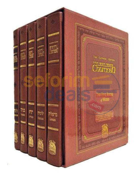 Gutnick Large Chumash Set With Slipcase - 5 Vol.