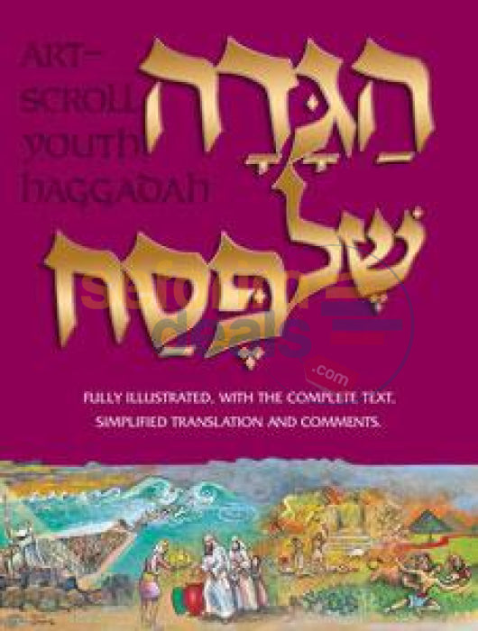 Haggadah: Illustrated Youth Edition - Hardcover