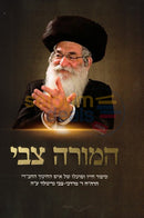 המורה צבי