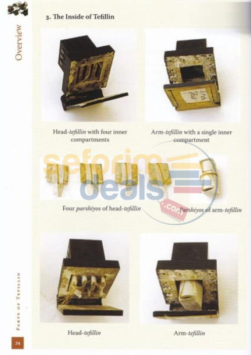 How Tefillin Are Made