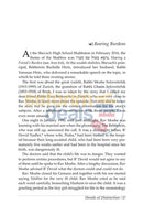 Illuminations Of The Maggid