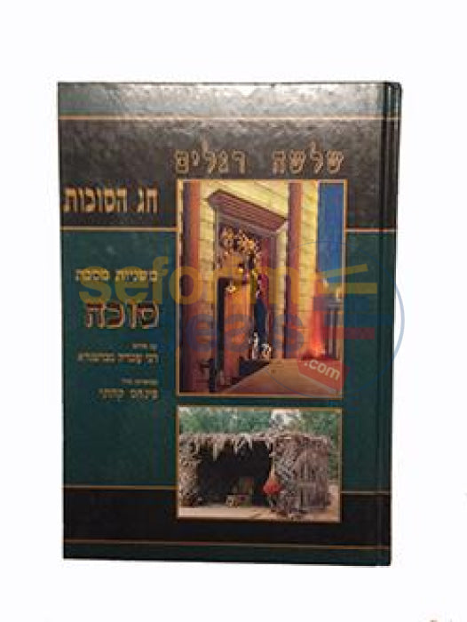 Kehati Mishnayos With Pictures: Sukkah