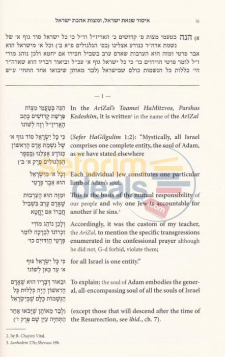 Lessons In Derech Mitzvosecha - Vol. 1