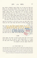 מחשף הלבן