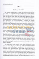 Moadim Perspectives - Yamim Noraim Through Sukkos