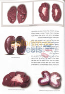 מראות חולין