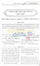 משנה טהורה