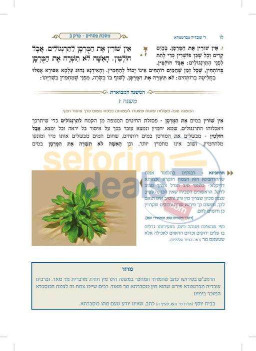 משניות מבוארות עם ציורים - ברכות