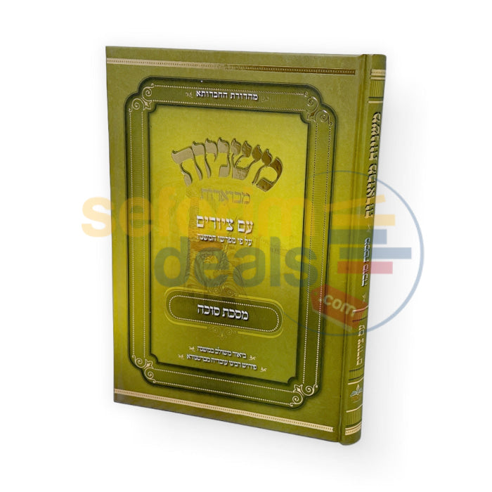 משניות מבוארות עם ציורים - סוכה