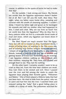 My Last Year In Mitzrayim