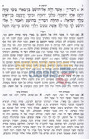 Nach Metzudos - Trei Asar