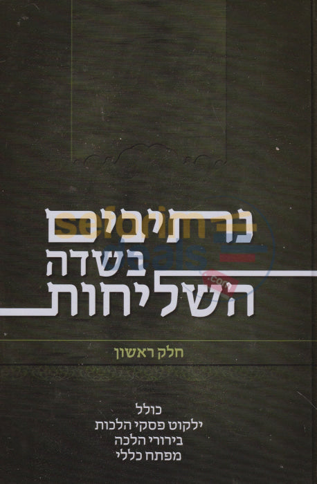 נתיבים בשדה השליחות חלק א