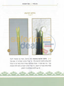Oz Bhadar -