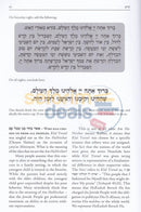 Rav Schachter On The Haggadah