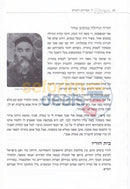 Reb Avraham Hirsch -