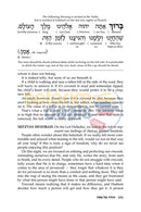 Reb Meilech On The Haggadah