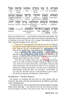 Reb Meilech On The Haggadah