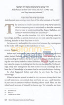 Root Connections In The Torah